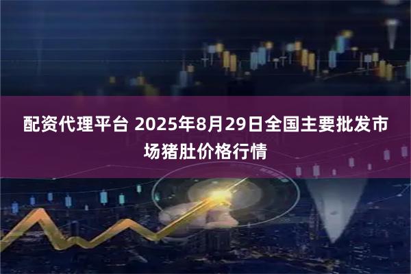 配资代理平台 2025年8月29日全国主要批发市场猪肚价格行情